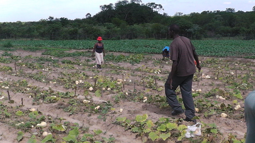 How a Lack of Access to Reliable Weather Data Is Hurting African Farmers