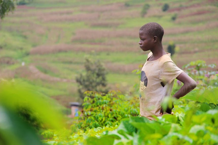 Rwanda’s Agricultural Revolution Is Not the Success It Claims to Be